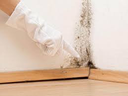 Best Attic Mold Removal  in Kansas City, KS